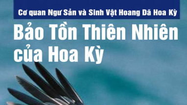 Bao ton thien nhien cua hoa ky