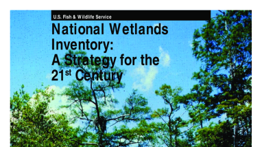 National wetlands inventory: A strategy for the 21st century