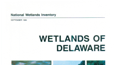 Wetlands of Delaware
