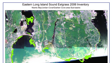 Eastern Long Island Sound eelgrass 2006 inventory