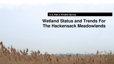 Wetland status and trends for the Hackensack Meadowlands
