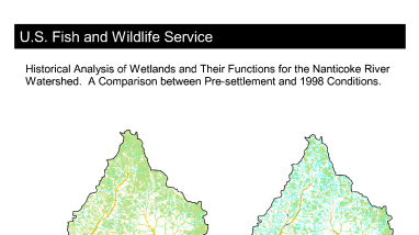 Historical analysis of wetlands and their functions for the Nanticoke River Watershed: A comparison between pre-settlement and 1998 conditions