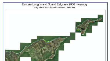 Eastern Long Island Sound eelgrass 2006 inventory