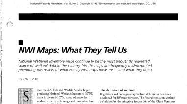 NWI maps: What they tell us