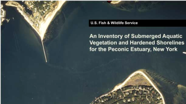 An inventory of submerged aquatic vegetation and hardened shorelines for the Peconic Estuary, New York