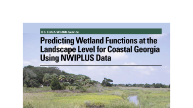 Predicting wetland functions at the landscape level for coastal Georgia using NWIPLUS data