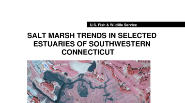 Salt marsh trends in selected estuaries of southwestern Connecticut