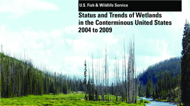 Status and trends of wetlands in the conterminous United States 2004 to 2009