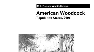 American woodcock population status, 2001