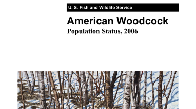 American woodcock population status, 2006