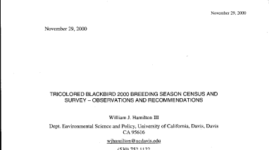 Tricolored blackbird 2000 breeding season census and survey - observations and recommendations