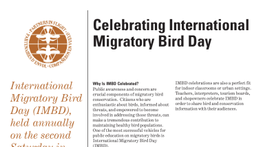 Celebrating Ingernational Migratory Bird Day