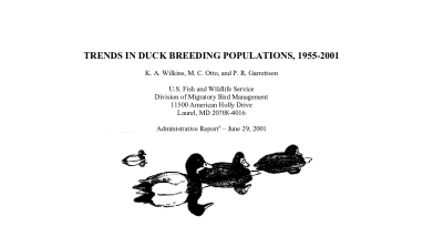 Trends in duck breeding populations, 1955-2001