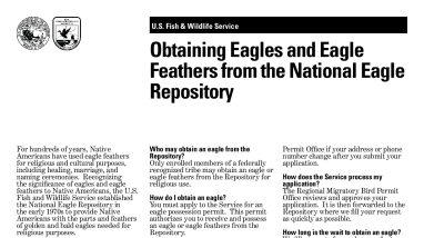 Obtaining eagles and eagle feathers from the National Eagle Repository