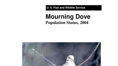 Mourning dove population status, 2004