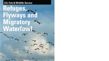 Refuges, flyways and migratory waterfowl