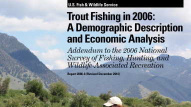 Trout fishing in 2006: a demographic description and economic analysis: addendum to the 2006 national survey of fishing, hunting, and wildlife-associated recreation