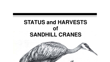 status and harvests of sandhill cranes min-continent & Rocky Mountain populations 2006