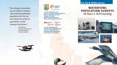 Waterfowl population surveys 50 years & still counting
