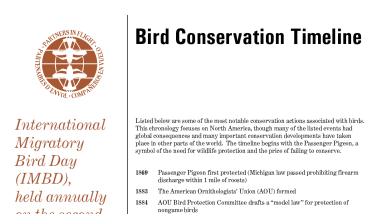 Bird conservation timeline