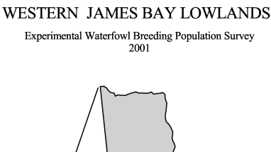 2001 waterfowl breeding population survey northeastern Ontario