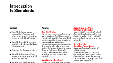 Explore the world with shorebirds - Chapter 5B