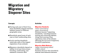 Explore the world with shorebirds - Chapter 5F