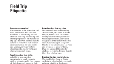 Explore the world with shorebirds - Chapter 6D