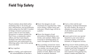 Explore the world with shorebirds - Chapter 6E