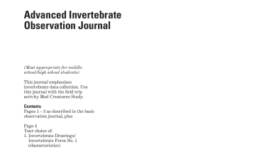 Explore the world with shorebirds - Chapter 6Z