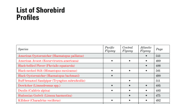 Explore the world with shorebirds - Appendix A