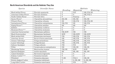 Explore the world with shorebirds - Appendix E