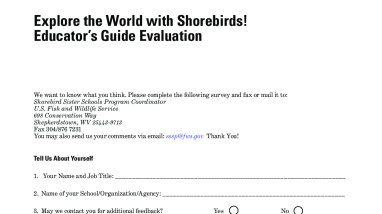 Explore the world with shorebirds - Appendix I