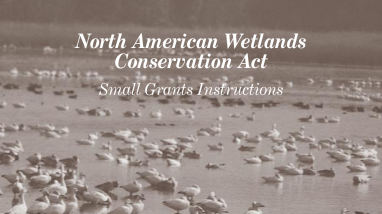 North American Wetlands Conservation Act Small Grants Instructions