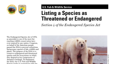 Listing a species as threatened or endangered, Section 4 of the Endangered Species Act