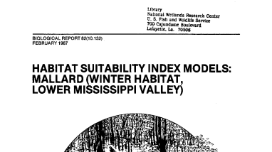 Habitat suitability index models: Mallard (winter habitat, Lower Mississippi Valley)