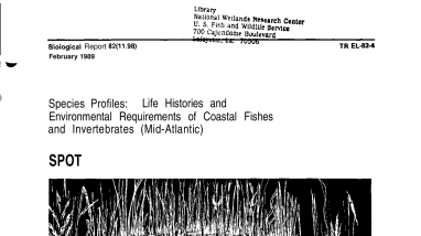 Species profiles: life histories and environmental requirements of coastal fishes and invertebrates (Mid-Atlantic)