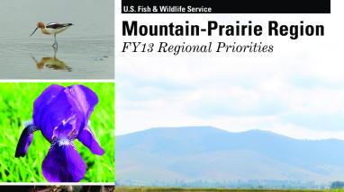 Mountain-Prairie Region-FY13 regional priorities