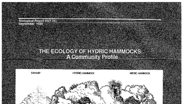 Ecology of hydric hammocks: a community profile