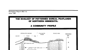 Ecology of patterned boreal peatlands of northern Minnesota: a community profile