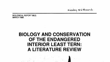 Biology and conservation of the endangered interior least tern: a literature review