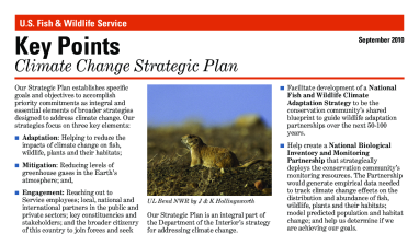 Key points: climate change strategic plan