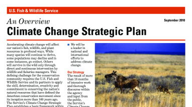 Overview: Climate change strategic plan