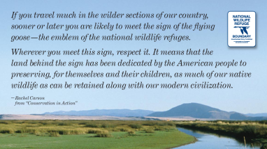 Byways to America's wildest places