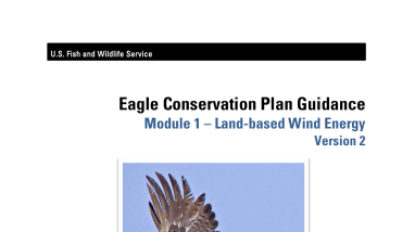 Eagle conservation plan guidance: module 1 – land-based wind energy. Version 2