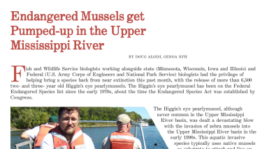 Endangered mussels get pumped-up in the Upper Mississippi River