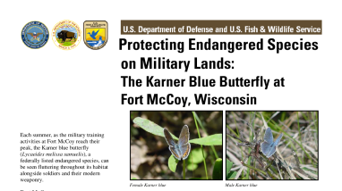 Protecting endangered species on military lands: the Karner blue butterfly at Fort McCoy, Wisconsin