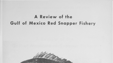 Review of the Gulf of Mexico red snapper fishery