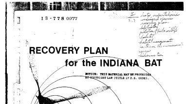 Recovery plan for the Indiana bat