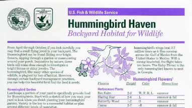 Hummingbird haven